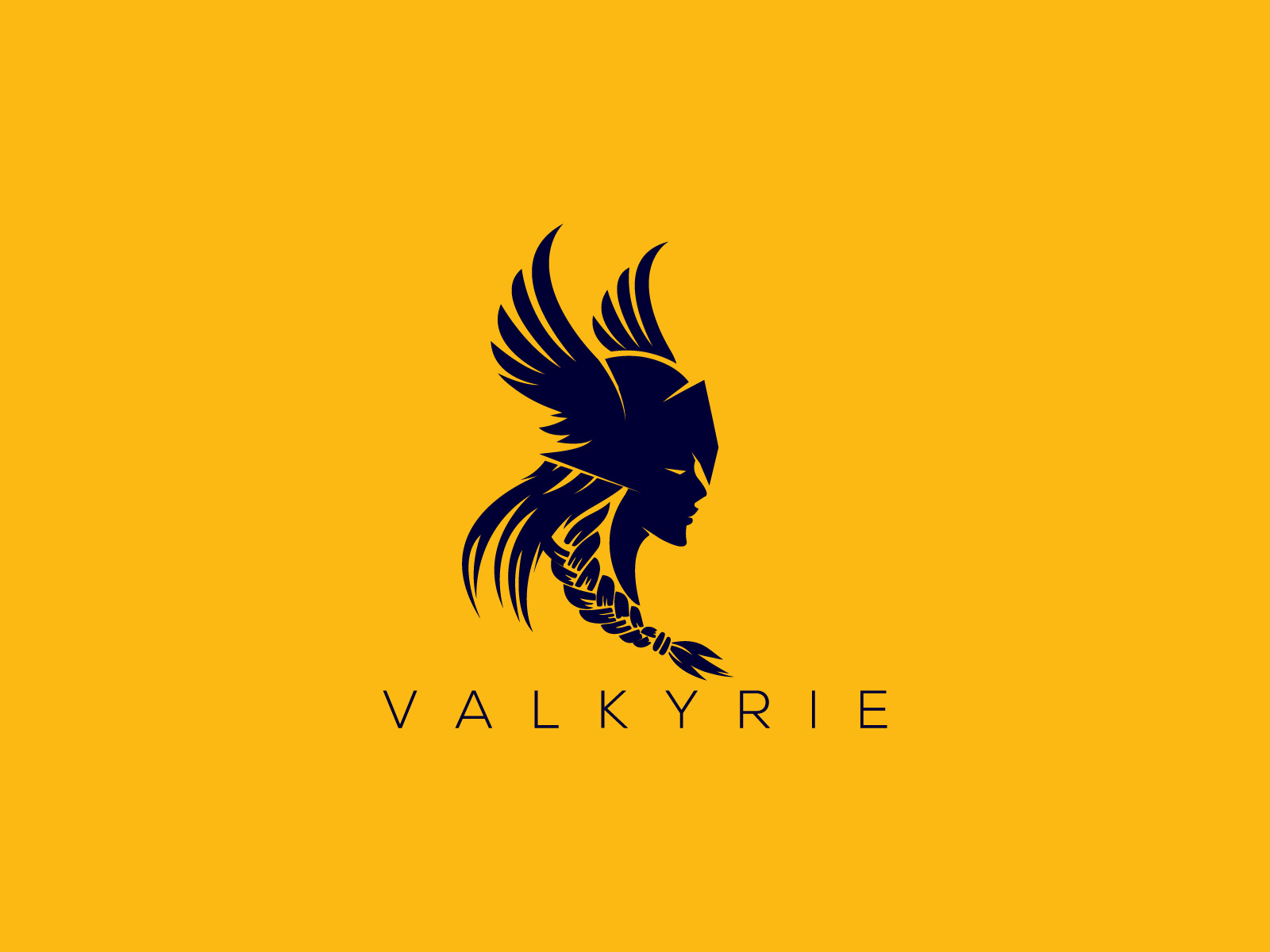 Valkyrie Business Group